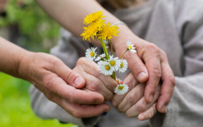 Dementia and Alzheimer’s: Updates from a Leading Geriatrician